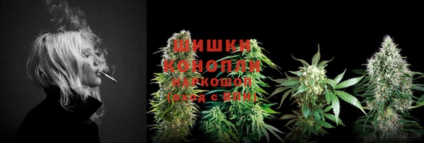 винт Касимов