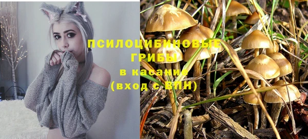 винт Касимов