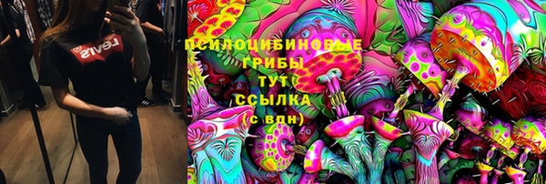 винт Касимов