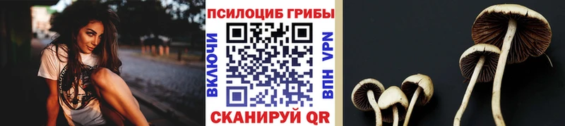 Купить где  Томари  Псилоцибиновые грибы мухоморы 