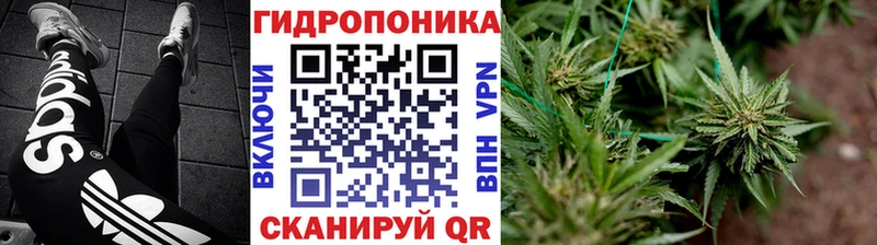 Купить где  Томари  Бошки марихуана White Widow 